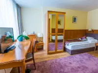Pannonia Hotel Hotele w: Sopron