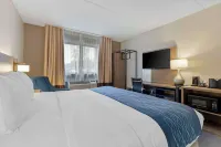 Comfort Inn Herndon-Reston - Kæledyr tilladt