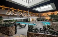 Saskatoon Inn & Conference Centre - piscine
