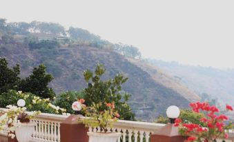 Mount View Executive