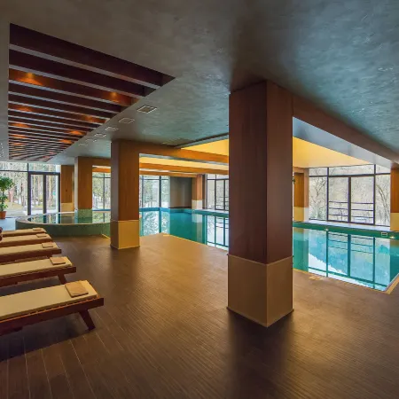 Borjomi Likani Health & Spa Centre