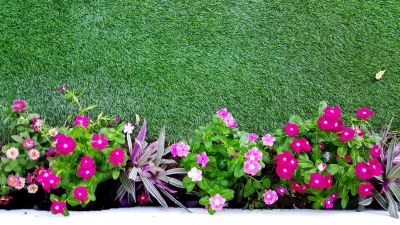 Other Barefeet Naturist Resort Photo