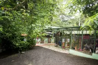 Lands in Love Hotel and Resort Hotels in Zarcero