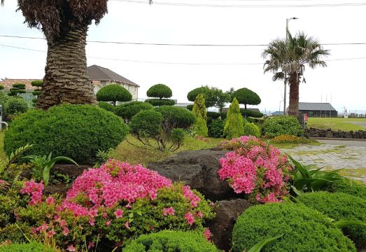 제주 또올레펜션 대표 이미지