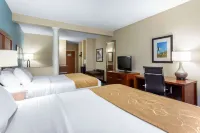 Comfort Suites Southport - Oak Island Hotels in Southport