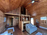 Cozy little cabin with creek access.  Great for fishing or tubing!