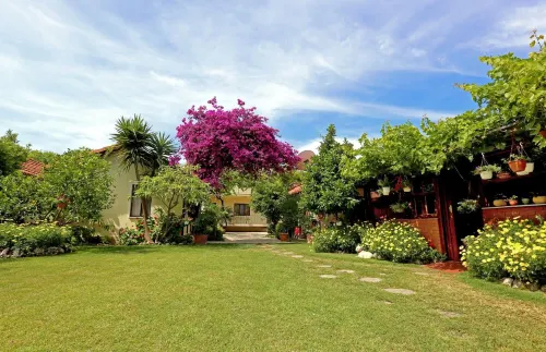 Midas Pension