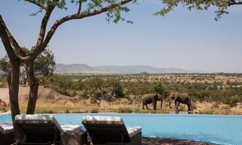 Four Seasons Safari Lodge Serengeti