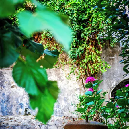 Stay and Cook - Chambres & Table d'hôtes