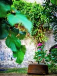 Maison d'hôtes - Stay and Cook Hotels in Annonay