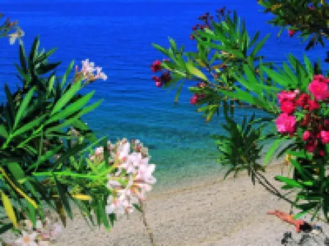 Hotel Villa Marija Hotels in Tucepi