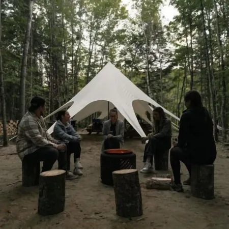 Hôtel Uniq - Forêt Ô Cascades Отели в г. Раудон