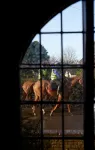 ザ マナー ハウス イン - Wi-Fi