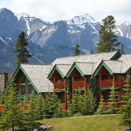 A Bear and Bison Country Inn