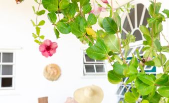 Gems at Paradise Beach Hotel - Housity