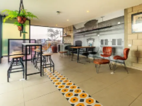 Tribu Centro Histórico