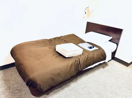 Hotel New Station Отели в г. Кофу