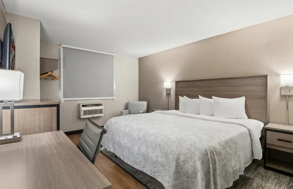 紅屋頂PLUS+ 貝爾維爾