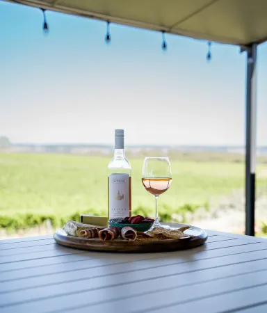 Breathtaking vineyard views