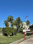 Studio Iguana