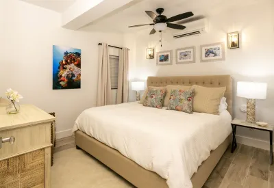 Lily Villa - 2 Bedroom St. John Villa - New Tesla Battery Back-up Hotels in 