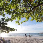 Apê a 150m da praia de Canasvieiras