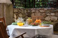 Pedra & Cal, a spacious 200 year old village house -  case vacanza in affitto