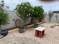 Quaint bungalow overlooking the Caribbean. A short 8 minute walk to Baby Beach Hotels in Sint Nicolaas