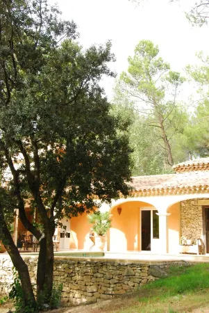 Superb Florida villa in the heart of the Alpilles