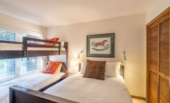 Whistler Village Premier Condo - R 339 206 R5 D 