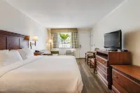 Oceanus Motel - Rehoboth Beach Hotels in Dewey Beach