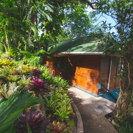 Secluded Hillside Cottage with Bay & Rainforest Views, Just 5 Mins to the Beach
