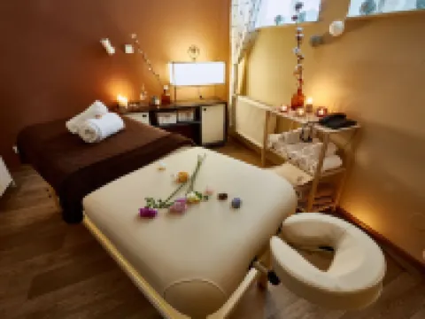 雷哈維塔爾酒店 尼斯河畔亞布洛內茨酒店