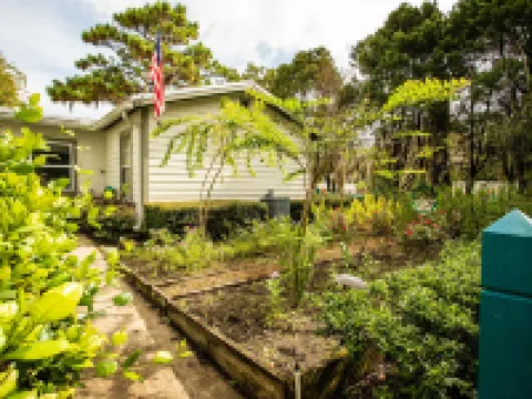 Steinhatchee River Inn and Marina Hotels in Steinhatchee