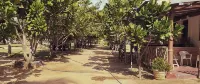 Under Water Safaris Hotels near Ocean University - Trincomalee