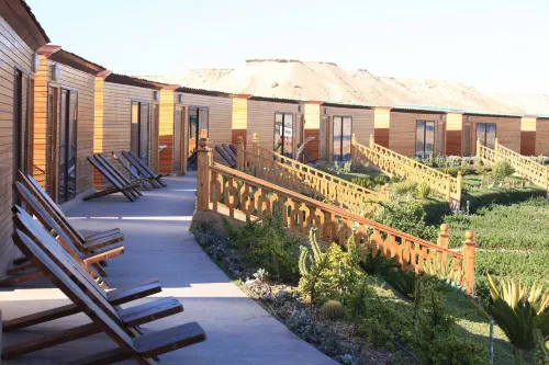 Dakhla Kitesurf World - Pet friendly