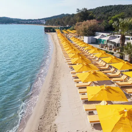 D - Resort Ayvalık