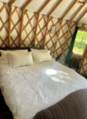 Luxury Yurt in charming Bellaire with Heat/AC