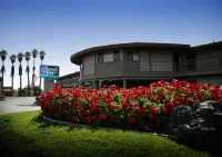 Sands by the Sea Motel