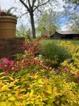 Cabin by Lake Keomah State Park: Swimming Pool, Hot Tub Patio, Game Room, Trails