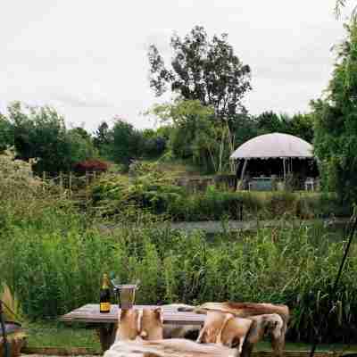 Shepherd's Hut- Hot Tub- Wellness Spa- Wood Burner Hotel Exterior