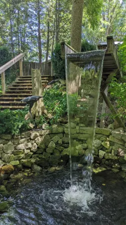 Charming Cottage on Meadowcroft Estate - A Birders Paradise Nestled in the Woods Отели в г. Чатем-Кент Дивижен