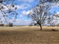 Primrose Farmhouse (Near Turner Falls)