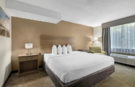 Best Western Center Inn Hotels near Thoroughgood House