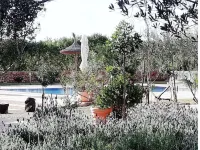 Rural estate with pool and professional tennis court Hotels in Llucmajor