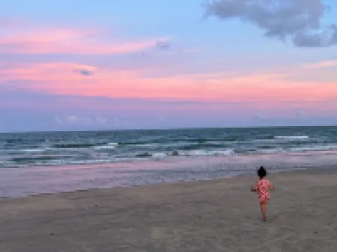 Spacious Beachfront 4-bedroom house in fabulous Surfside Beach with tiki bar