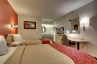 Red Roof Inn St Louis - Westport/ Maryland Heights - Parkplatz