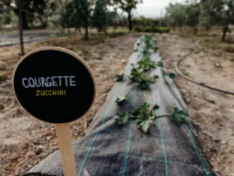 Quinta de S. Miguel 'Casa Das Oliveiras Fundão otelleri