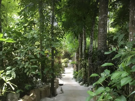 Your second home sweet home nature chalet surrounded by nature