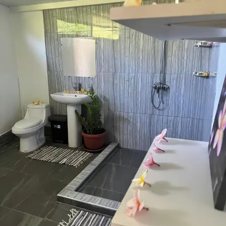 DEANE HOUSE Large, fully-equipped studio located in the city center. Отели в г. Бора-Бора